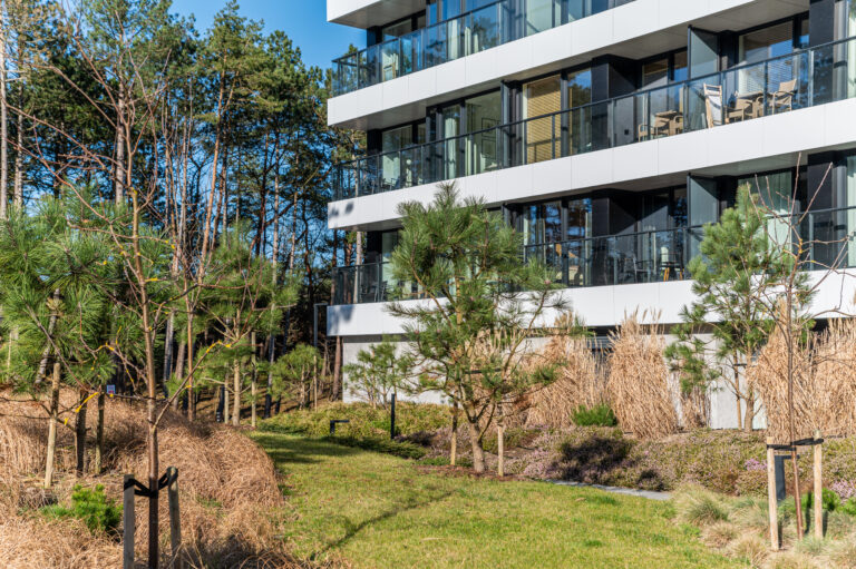 Shellter Rogowo